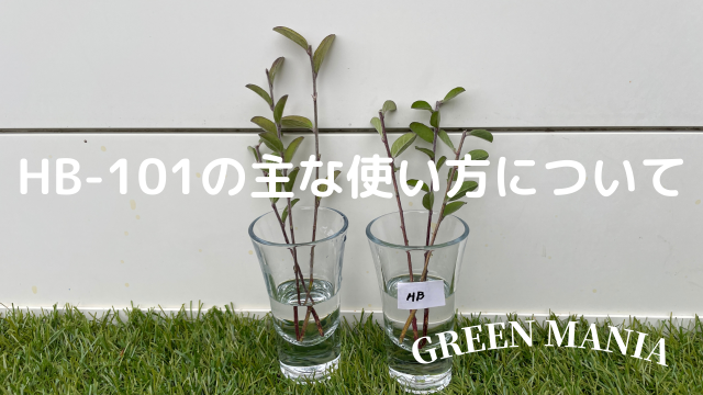 HB101の使い方について分かりやすく解説｜育苗・挿し木など用途別にも紹介 | ～GREEN MANIA～